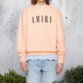 AMIRI  |Crew Neck Unisex Blended Fabrics Street Style Long Sleeves