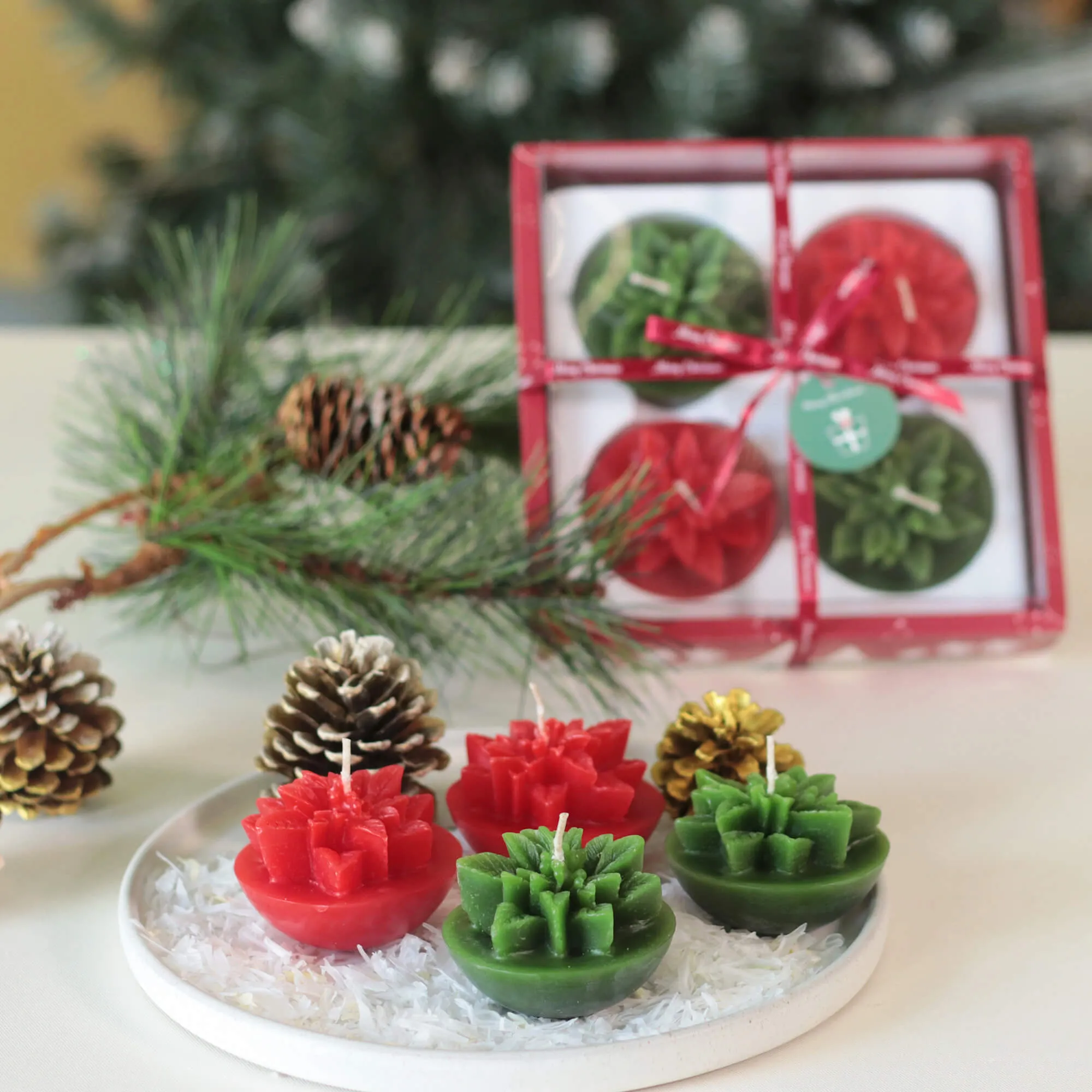 Boxed Poinsettia Votives