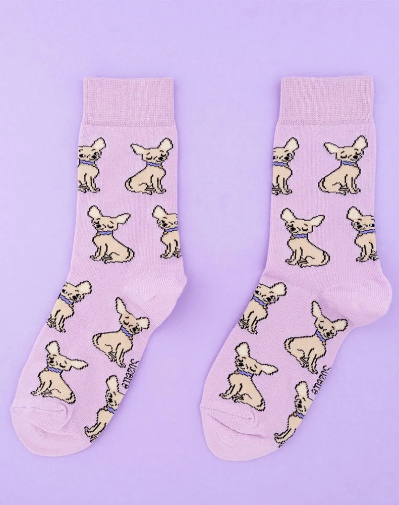 CHIHUAHUA SOCKS