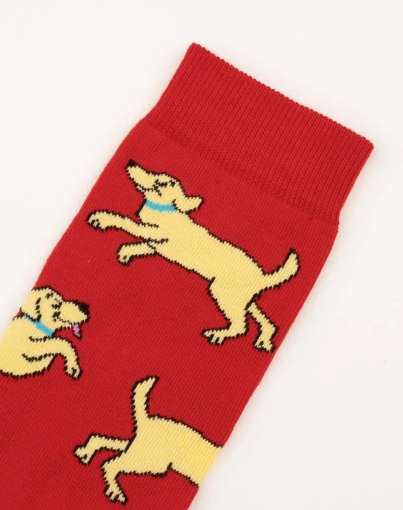 LABRADOR SOCKS