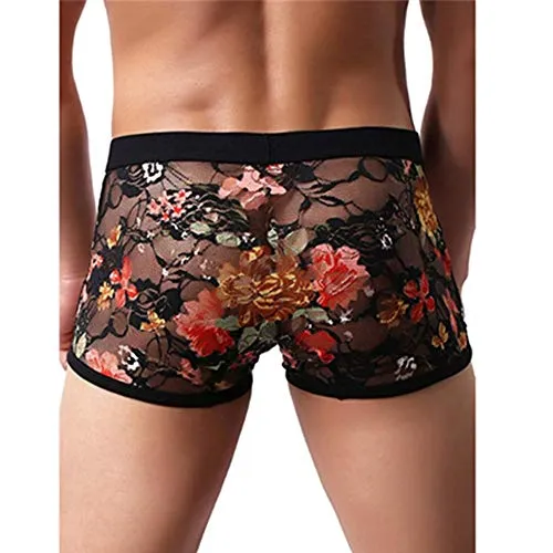 Sexy Men's Boxers Briefs Transparent Lace Underwear (L, Black)