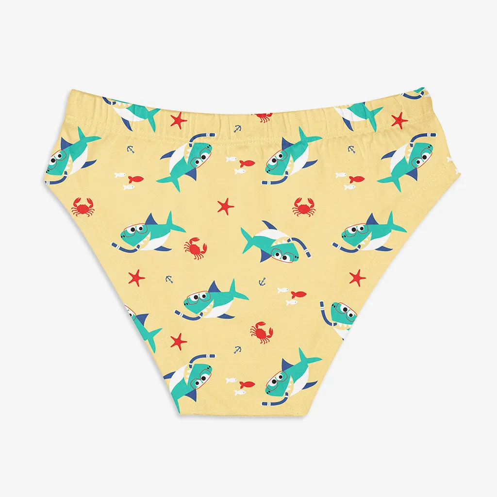 Young Boy Briefs -3 Pack (Sea-Saw)