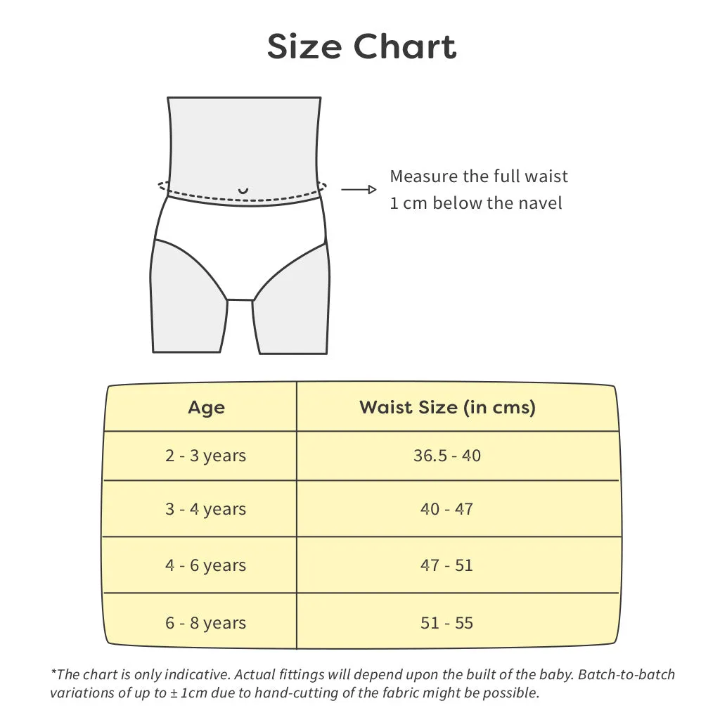 Young Boy Briefs -3 Pack (Sea-Saw)