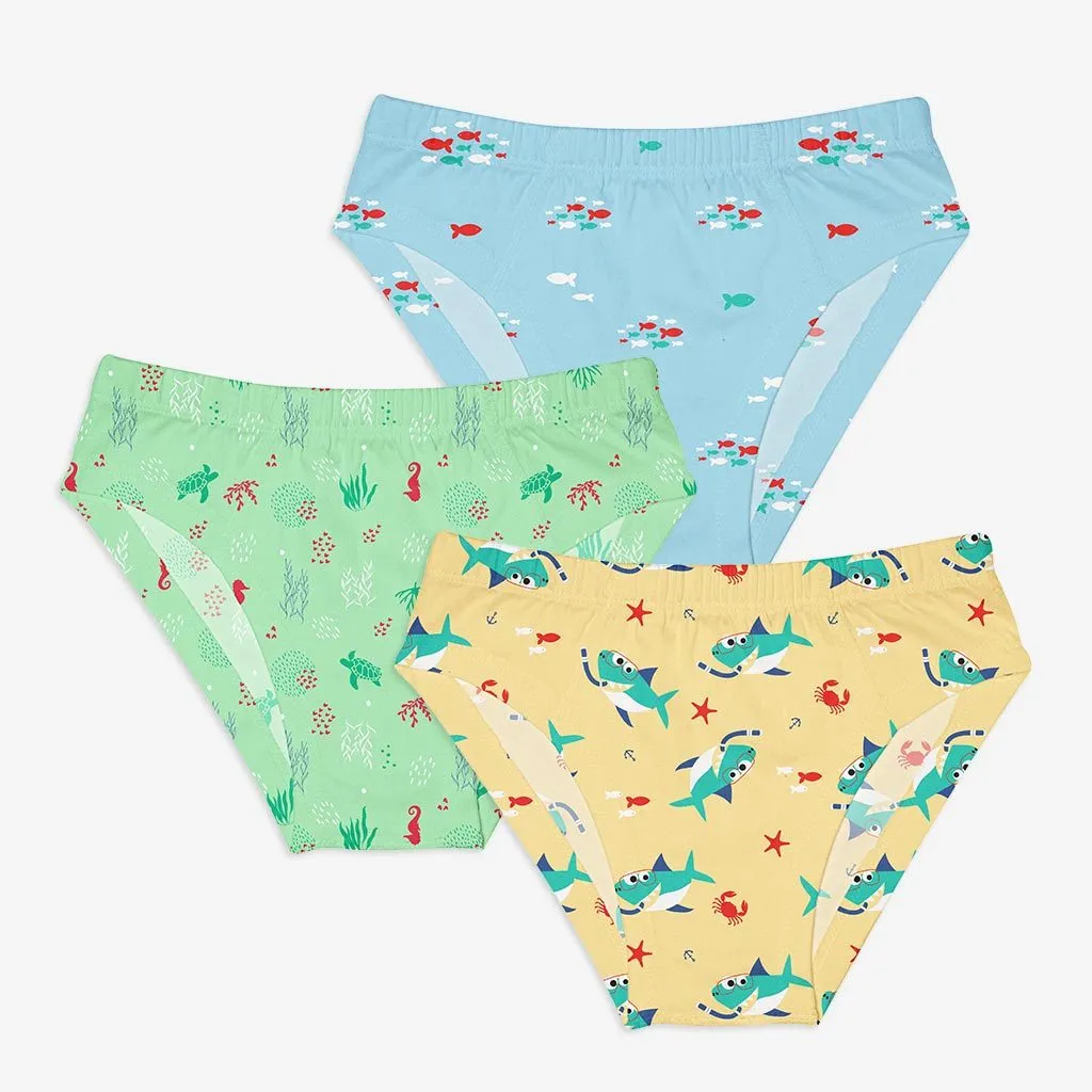 Young Boy Briefs -6 Pack (Kid's Day Out - Sea-saw)