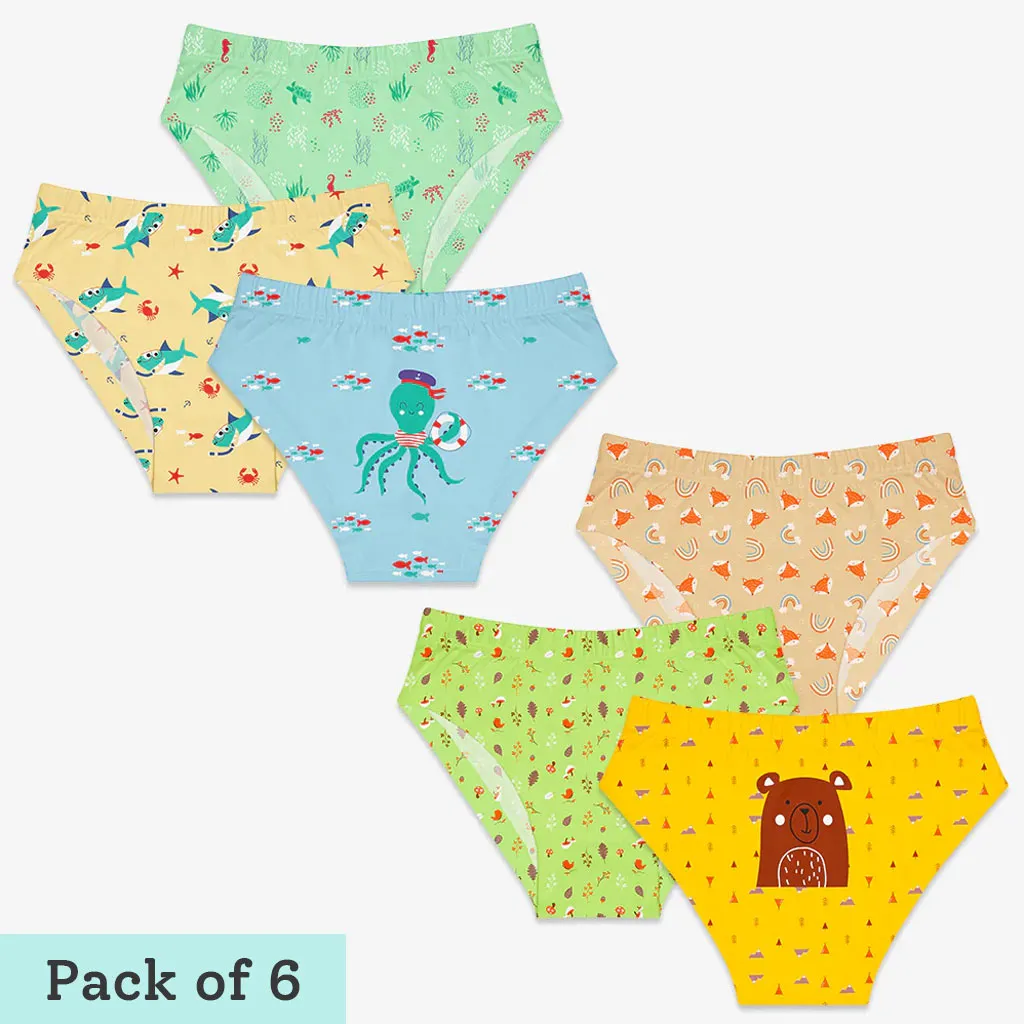 Young Girl Briefs -6 Pack (Woody Goody - Sea-saw)